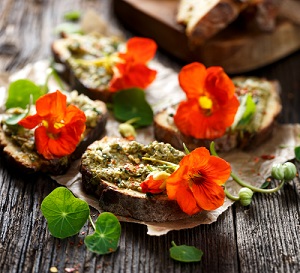 Graines de fleurs comestibles à cultiver au jardin